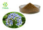 Hydrangea Arborescens Radix Dichroa P.E Antifeverile Dichroa Root Extract Powder