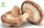 80 Mesh Shiitake Mushroom Extract Powder Lentinus Edodes Beta Glucan Polysaccharides Powder
