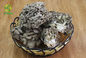 Organic Maitake Mushroom Extract Polysaccharides Powder Grifola Frondosa Extract
