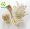 Enoki Needle Mushroom Extract Powder P.E. Flammulina Velutipes Polysaccharides Powder