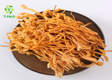 Cordyceps Militaris Mushroom Extract Powder Cordycepin Polysaccharides Adenosine