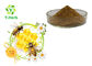 Raw Organic Bee Propolis Powder Alcohol Water Soluble Bee Propolis Extract
