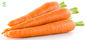 1%-30% Vegetable Extract Powder Beta Carotene Carrot Extract Carotenoids Powder