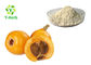 Organic Loquat Powdered Fruit Juice Concentrate Eriobotrya Japonica Extract