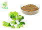 Dried Ginkgo Biloba Leaf Extract Powder Water Soluble Flavones 24% Lactones 6%