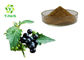 Brown Herba Solani Nigri Extract Powder Black Nightshade Extract Powder