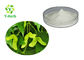 Nervonic Acid Powder Maple Seed Oil 90% 95% Acer Truncatum Extract CAS 506-37-6
