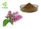 Syzygium Aromaticum Organic Bulk Clove Bud Extract Powder Food / Medical Grade