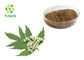 Valeriana Officinalis Valerian Root Extract Powder 0.3% 0.8% Valeric Acid