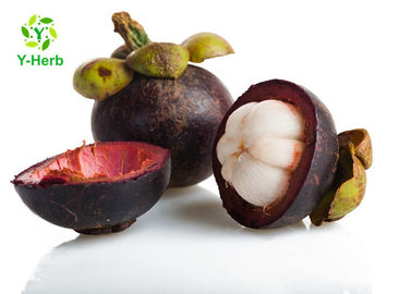 Pink Colour Herbal Extract Powder Mangosteen Fresh Fruit Powder For Drink Beverage / Ice Cream