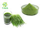 Organic Wheatgrass / Barley Grass Powder Instant Green Drink Raw Material