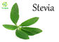 GMP Organic Stevia Sugar Herbal Extract Powder Dried Stevia Leaves Extract