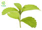 CAS 58543-16-1 Dried Leaf Stevia Extract Powder RA98% TSG98% Low Calorie