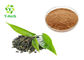 Anti Radiation Green Tea Extract EGCG 90% 98% Polyphenols Powder Improve Immunity