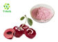 100% Water Soluble Herbal Extract Powder Cherry Juice Powder Pink Fine Color