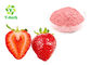 Strawberry Flavour Herbal Extract Powder Beverage Drink Additive 100% Natural