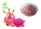 Spray Drying Herbal Extract Powder Red Dragon Fruit Natural Purple Red Color