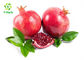 Organic Pomegranate Extract Powder Punicalagin 40% Ellagic Acid For Skin Whitening