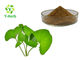 C48H78O19 Herbal Extract Powder Gotu Kola Extract Powder CAS 16830-15-2