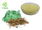 Y-Herb Kava Leaf Extract From Natural Herbs 30% - 70% Kavalactones CAS 9000-38-8
