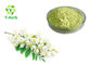 Flower Bud Part Sophora Japonica Extract Rutin Powder CAS 153-18-4 HPLC / UV Test