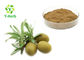 Olive Leaf Herbal Extract Powder Brown Fine Powder With HPLC Test Method
