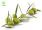 98% Oleanolic Acid Olive Leaf Extract Powder Water Soluble 2 Years Shelf Life