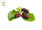 Purple Fine Mulberry Fruit Extract Water Soluble Bulk Supplement Powder
