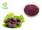 Food Additives Herbal Extract Powder Mulberry Fruit Powder TLC Test Method