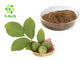 100% Water Soluble Herbal Extract Powder Organic Walnut Leaf Extract Powder