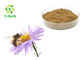 Natural Bee Propolis Extract Powder Flavonoids P-Coumaric Acid Cinnamic Acid